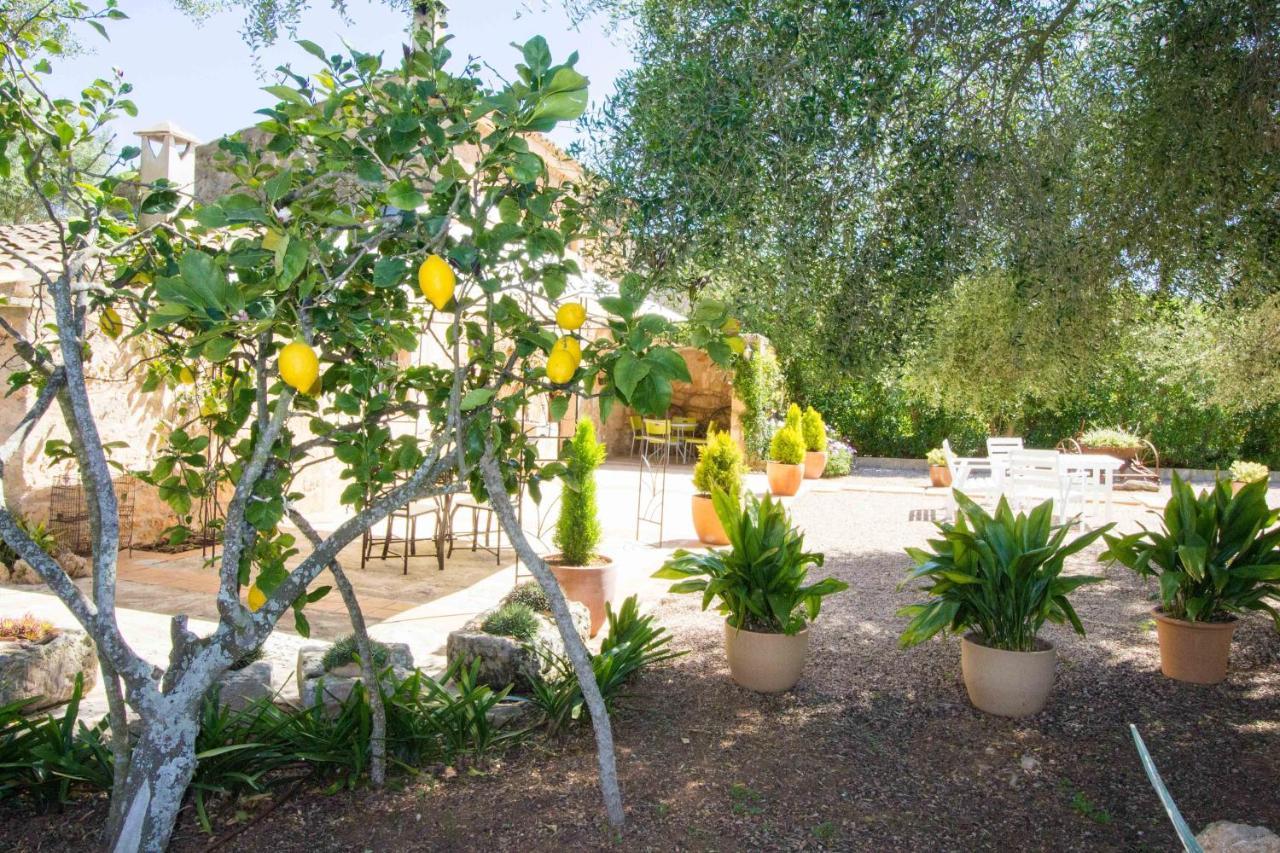 Preciosa Finca Rustica Con A/C Y Piscina Exclusiva Алгайда Екстериор снимка